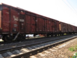 На станции в н.п. Вознесеновка замечены около 100 вагонов с неизвестным содержимым