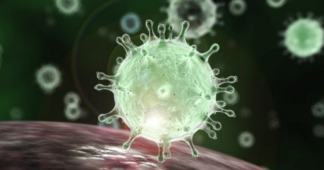 В «ДНР» выявлен новый случай заболевания коронавирусом