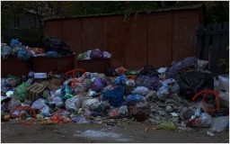 В Луганске крысы бросаются на людей