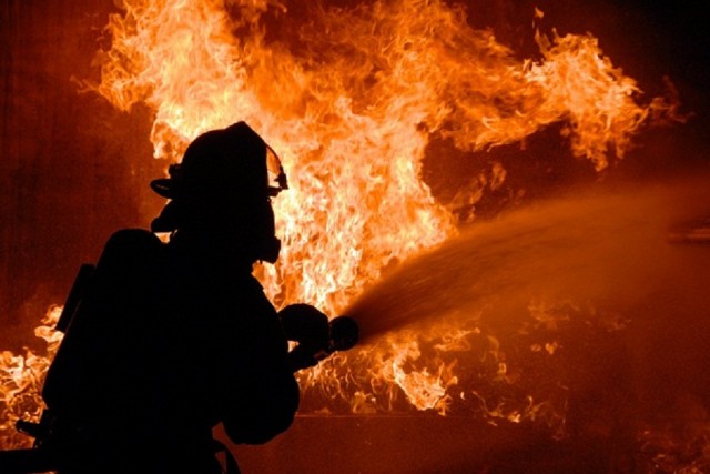 В «ДНР» произошло несколько пожаров в экосистемах