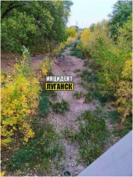 В Луганске полностью высохла река Ольховка, в которой раньше можно было утонуть