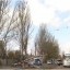 В Донецке на ул. Можайской дерево упало на легковой автомобиль