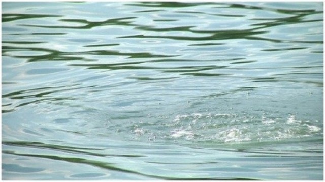 В Торезе в пруду-отстойнике утонул ребенок