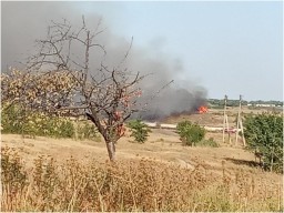 В Донецке и Харцызске люди задыхаются от дыма горящих полигонов ТБО и очистных сооружений