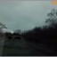 В Куйбышевском районе Донецка по дорогам бегают дикие кабаны