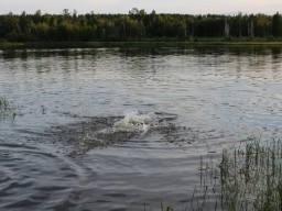 В Донецке из водохранилища извлекли тело мужчины