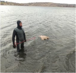 Из Исаковского водохранилища извлекли тело неизвестного мужчины