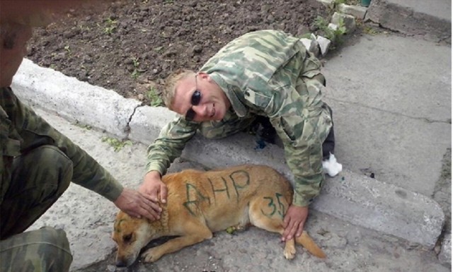 В Луганске боевики «ЛНР» издеваются над животными