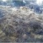 В н.п. Зимовники сгорело 8 тонн сена