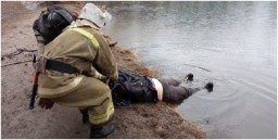 В н.п. Хрустальный из водоема был извлечен труп женщины