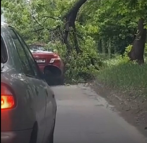 В центре Донецка на автомобиль упало дерево
