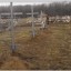 На кладбище в Горловке появилось большое количество «свежих» могил