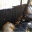 В н.п. Перевальск во время пожара пострадала семья из трех человек