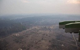 МВД Луганской области зафиксировала факты поджогов боевиками «ЛНР»