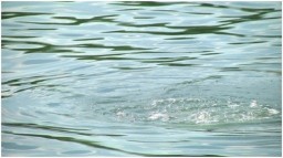 В Лутугинском районе в водоеме обнаружено тело мужчины, утонувшего 10 дней назад