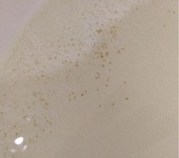 В Макеевке из водопроводных кранов течет вода с червями