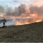 В «ЛНР» начались серьезные пожары в экосистемах