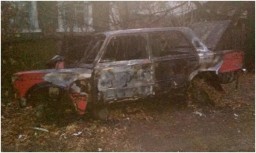 В н.п. Голубовка дети сожгли брошенный автомобиль
