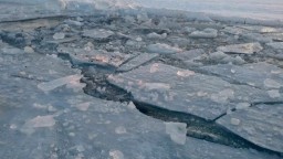 В Донецке из водоема в Ботаническом саду извлекли вмерзшее в лед тело женщины