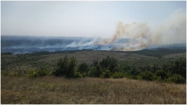 В «ДНР» произошло несколько масштабных пожаров в экосистемах