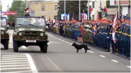 В «ДНР» собираются проводить «парад победы»