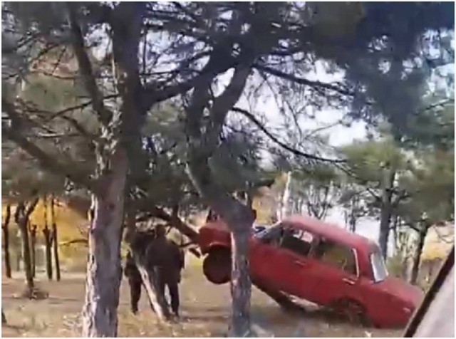 В Донецке в ДТП на ул. Щетинина автомобиль «залез» на дерево