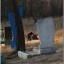 В Макеевке боевики «ДНР» занимаются мародерством на кладбищах
