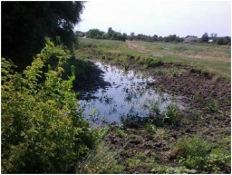 В н.п. Червоная Поляна утонул мужчина