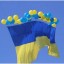 Активисты запустили флаг Украины в сторону Горловки