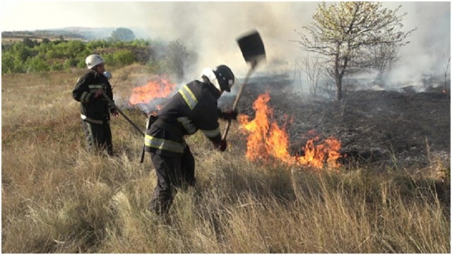 В «ДНР» и «ЛНР» случился ряд масштабных пожаров в экосистемах