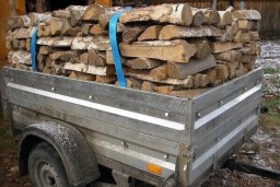 Боевики «ДНР» завозят дрова на позиции в районе н.п. Петровское