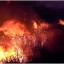 В Луганске в районе трамвайного депо произошел масштабный пожар