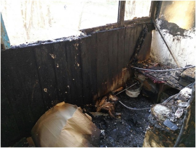 В н.п. Перевальск во время пожара пострадала семья из трех человек