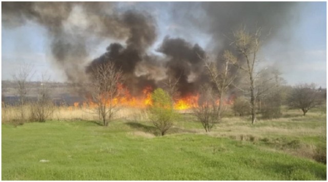 В Макеевке в результате пожара выгорело почти 2 га травы и камыша