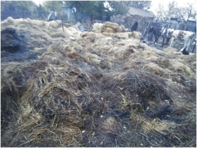 В н.п. Зимовники сгорело 8 тонн сена