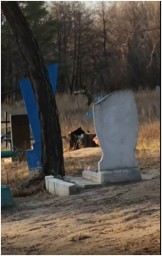 В Макеевке боевики «ДНР» занимаются мародерством на кладбищах