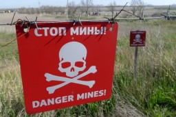 Боевики «ДНР» в н.п. Луганское минируют местность в районе автодороги С051131