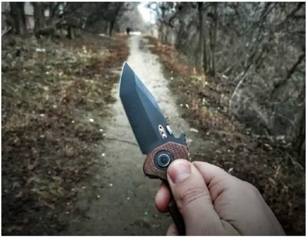 В Донецке подросток нанес ножевые ранения своей знакомой